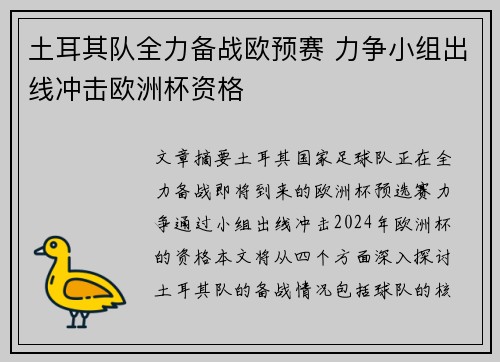 土耳其队全力备战欧预赛 力争小组出线冲击欧洲杯资格