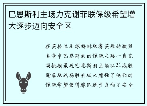 巴恩斯利主场力克谢菲联保级希望增大逐步迈向安全区